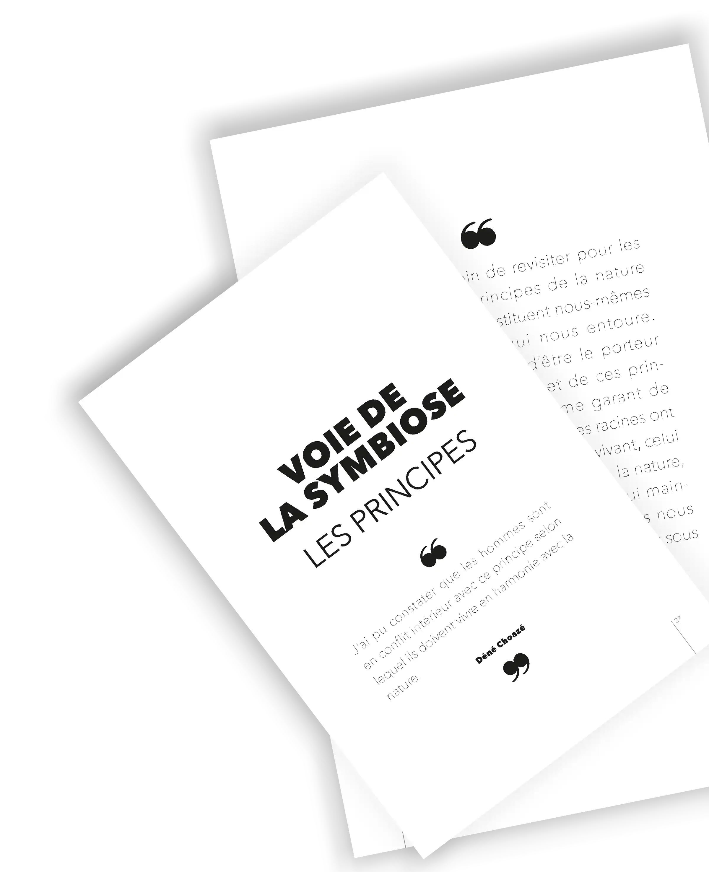 Maquette des grandes parties du livre La Voie de la Symbiose