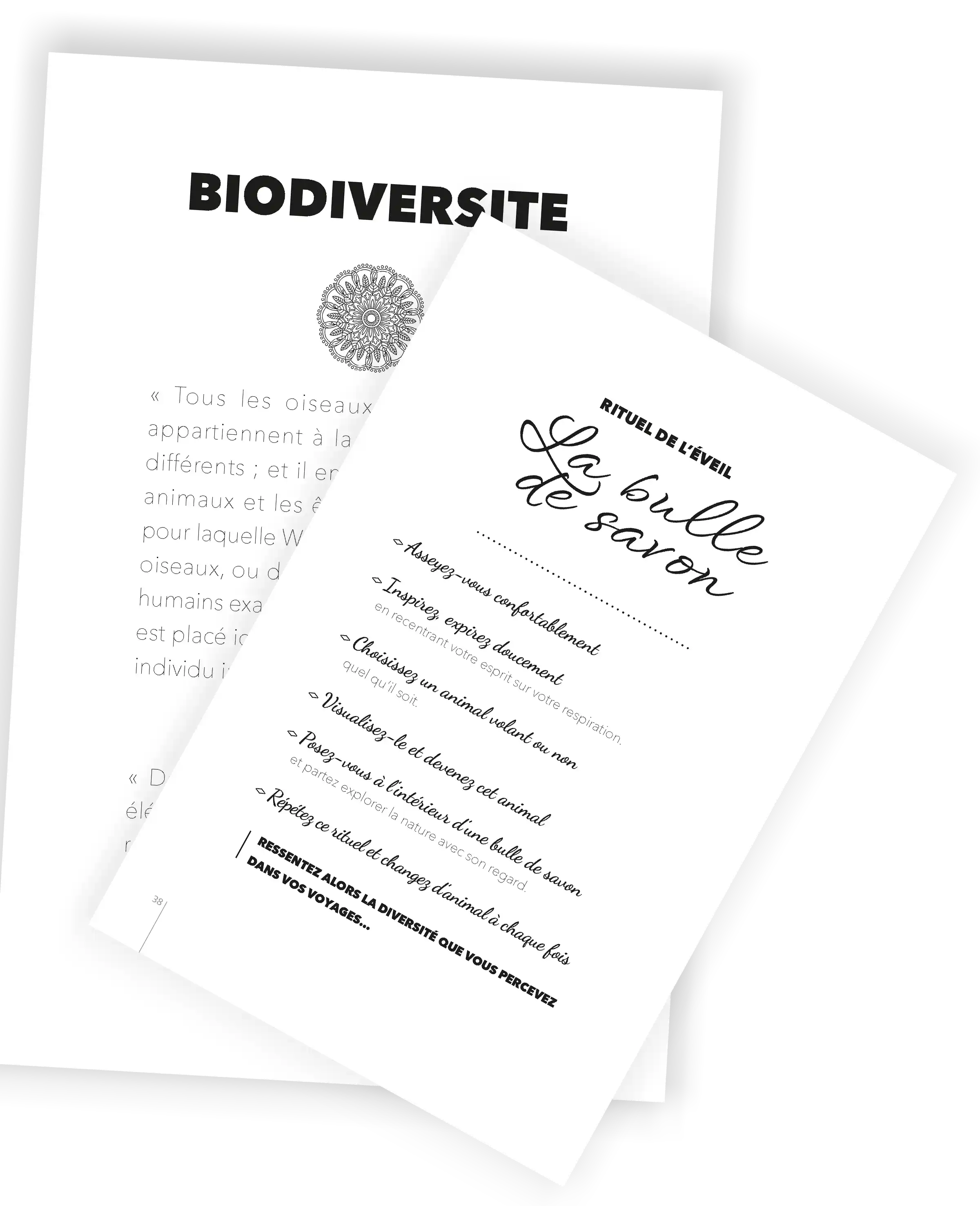 Maquette des chapitres du livre La Voie de la Symbiose